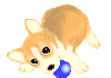 c0015041_40309.gif