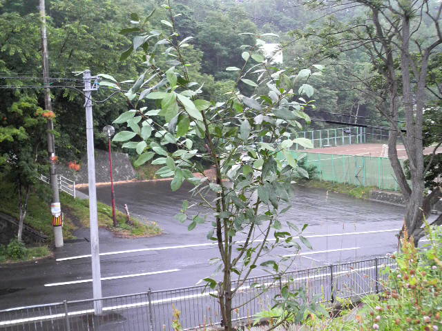 b0034546_22384942.jpg