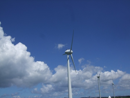 c0111557_2205866.jpg