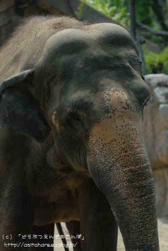 b0024758_23134722.jpg
