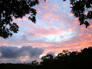 f0043559_0391116.jpg