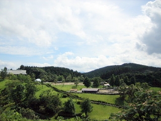 f0043559_053867.jpg