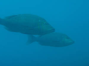 f0164662_14513657.jpg