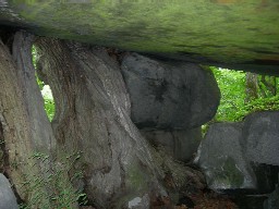 前頭　青森県十和田市奥瀬　石ケ戸_f0125073_2033137.jpg