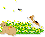 c0090198_0425688.gif