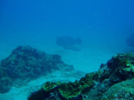 e0023100_18365286.jpg