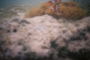 a0024504_22572637.jpg