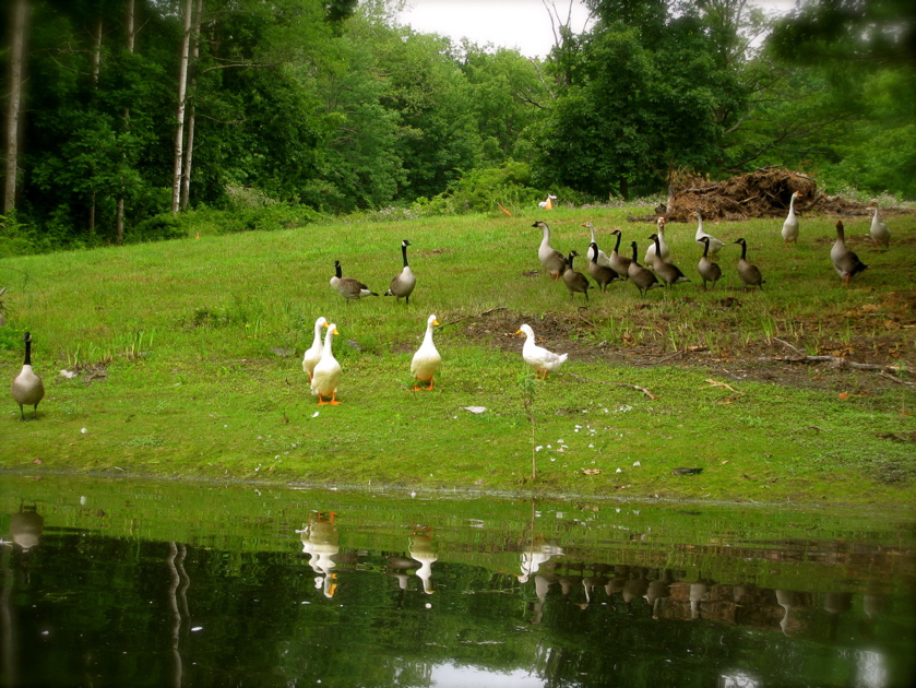 c0120817_5163220.jpg