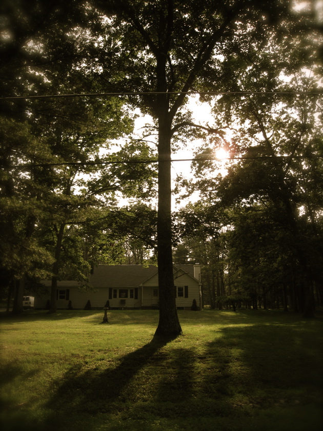 c0120817_521759.jpg
