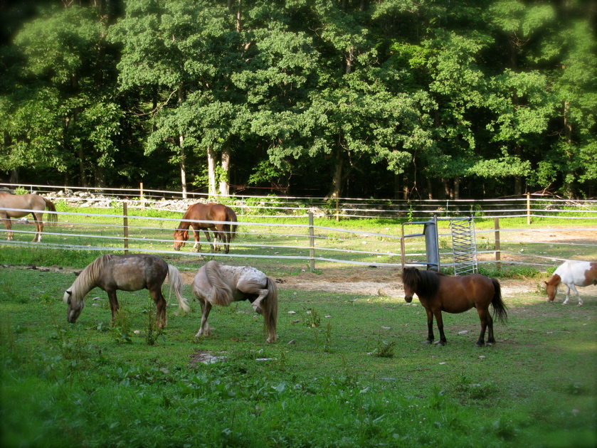 c0120817_5222426.jpg
