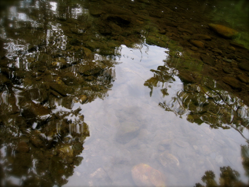 c0120817_53084.jpg