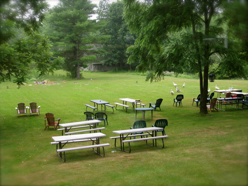 c0120817_5382256.jpg