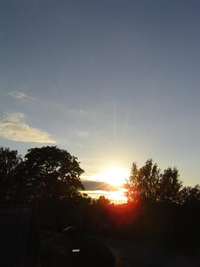 a0104020_8273591.jpg