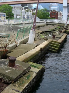 f0161828_337397.jpg