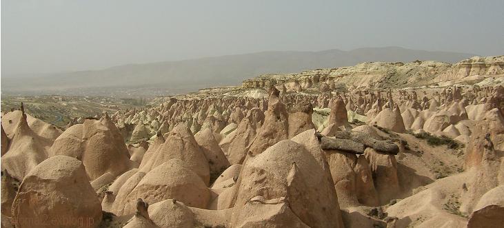 b0106739_382817.jpg