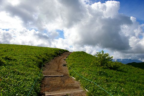 梅雨の晴れ間の霧ヶ峰_d0059441_20552648.jpg