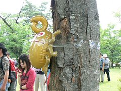 第7回ブルーベリーとオオムラサキの里大会_f0019247_17312028.jpg