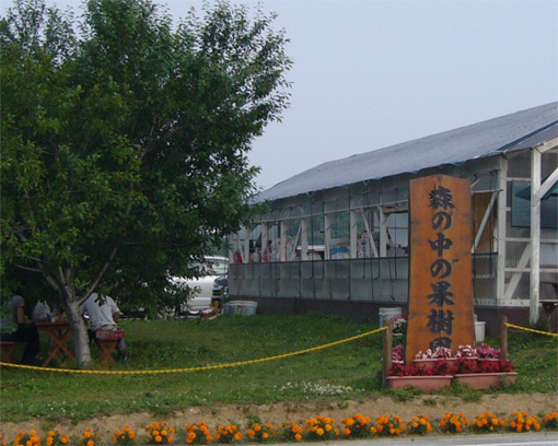 c0006748_0314.jpg