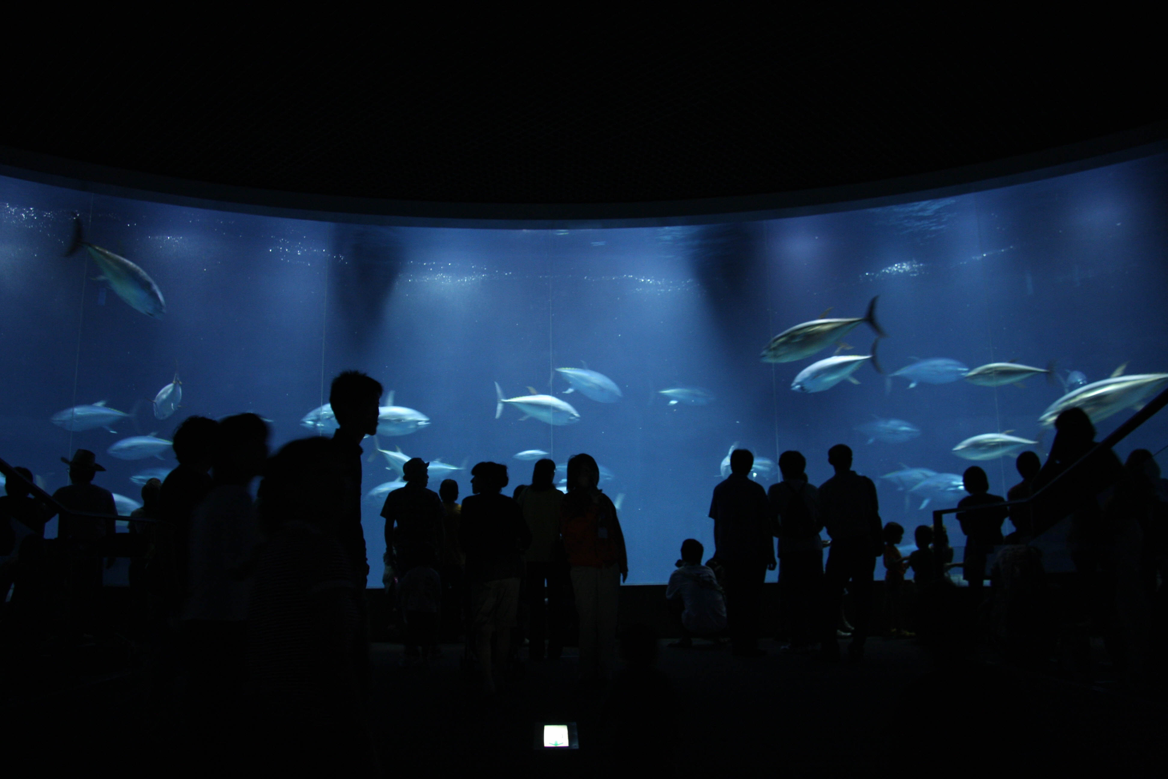 f0013553_04018.jpg