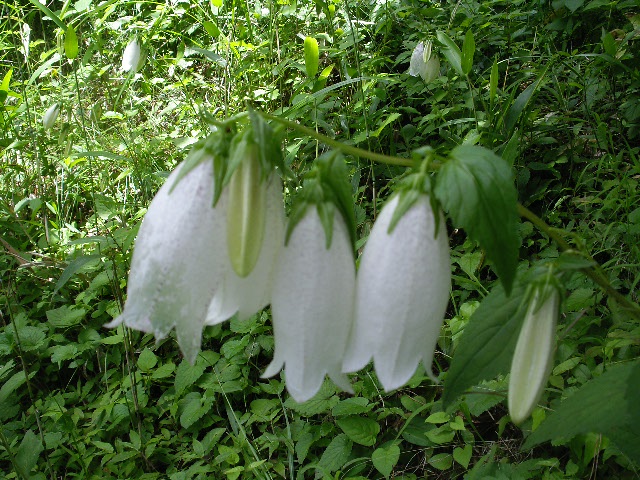 f0042665_22113369.jpg