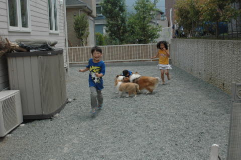 レグ!_f0126965_11184552.jpg