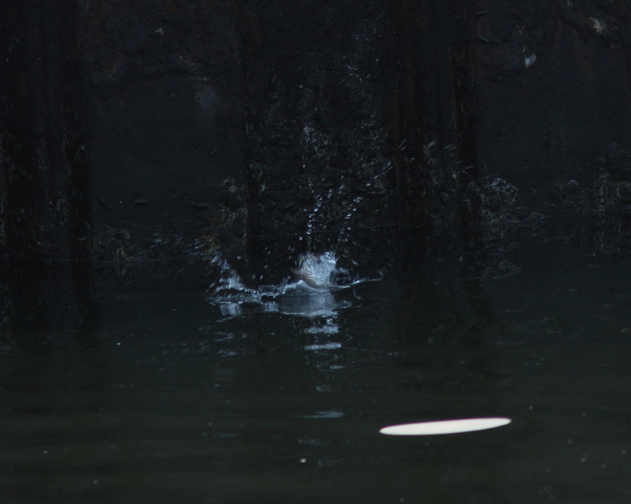 e0018678_2037133.jpg