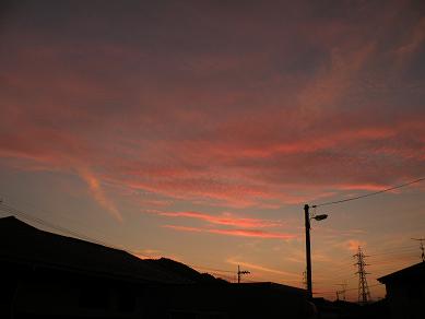a0095980_10452953.jpg