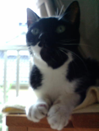 c0136090_2010233.jpg