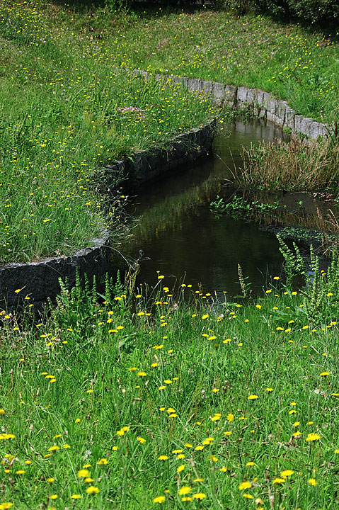d0069495_034191.jpg