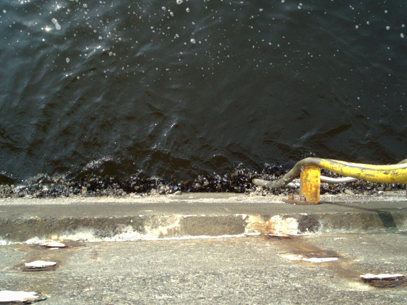 e0147297_930213.jpg