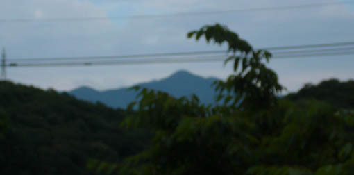 Q1手形山の家:軸組_e0054299_11374274.jpg