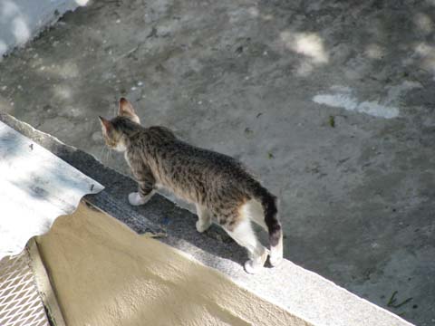 b0077906_22321117.jpg