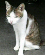 f0178313_23495783.jpg