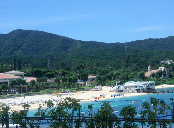 d0070316_20322394.jpg