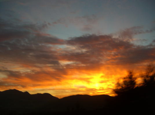 d0070316_21333694.jpg
