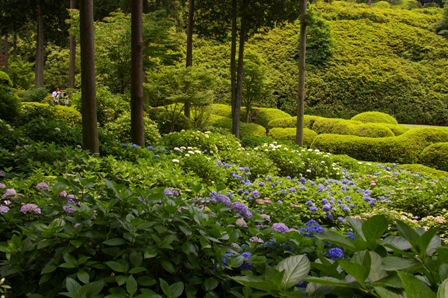 三室戸寺　その7_d0073418_187288.jpg