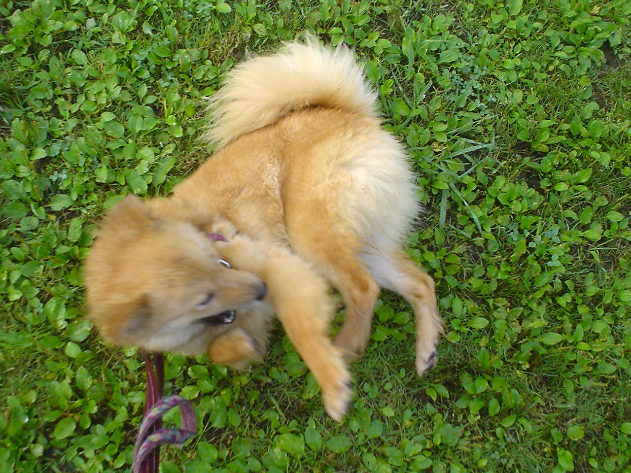 c0150520_21593734.jpg