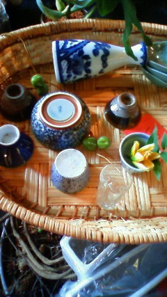 叔母便_c0102228_19235930.jpg