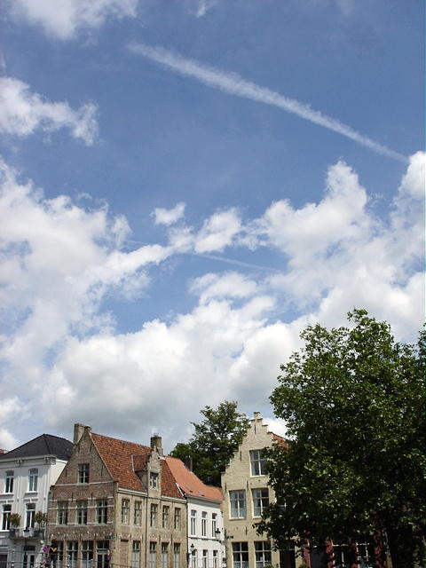 d0060828_20385733.jpg