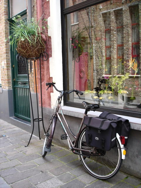 d0060828_20402150.jpg