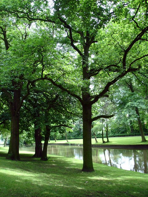 d0060828_2042453.jpg