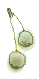 ばら便り_e0086738_018371.gif