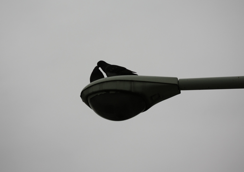 c0138642_2203631.jpg