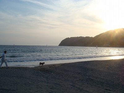 e0105047_15461615.jpg