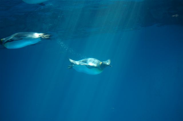 b0153451_71585.jpg