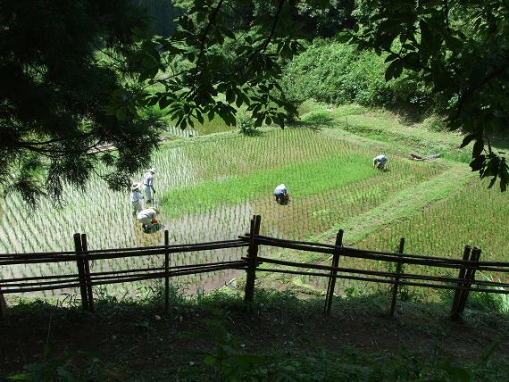 山都町第2の目的地　幣立神宮_b0123359_9183279.jpg