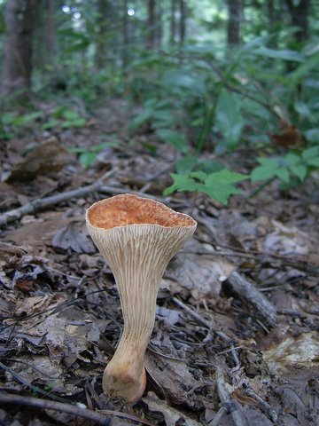 b0130166_17451486.jpg