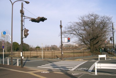 都立武蔵国分寺公園（旧国鉄中央鉄道学園跡地）_c0112172_049620.jpg