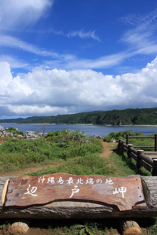 c0153672_21864.jpg