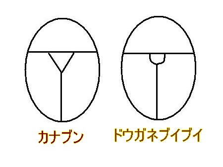 カナブンと追加されたブルーベリー登録農薬_f0018078_18363445.jpg